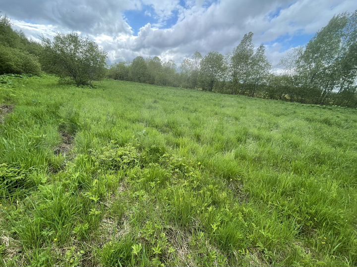 Участок 100 сот. (СНТ, ДНП)