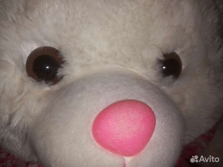 Плюшевый медведь