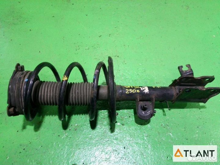 Стойка передняя правая nissan elgrand