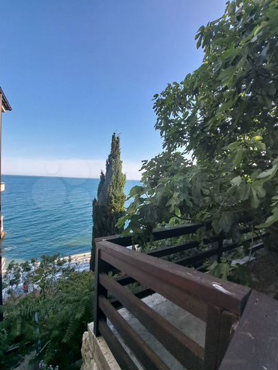 Дом 50 м² на участке 1 сот.