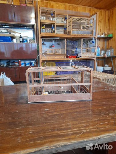 Клетки для птиц
