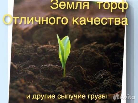 Конский перегной