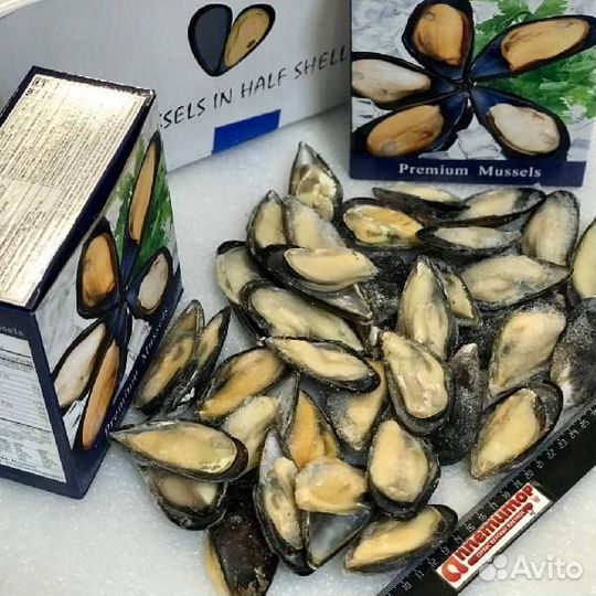 Мидии на створке раковины