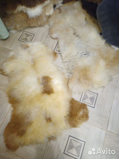 Шкура из овчины