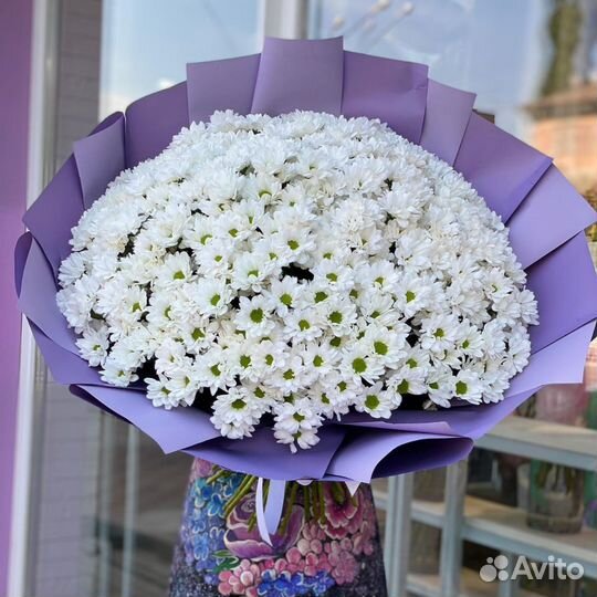 Букеты из Хризантем. Доставка Цветов. Цветы