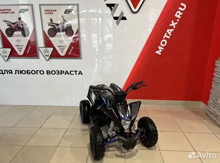 Детский квадроцикл Motax gekkon 1300W
