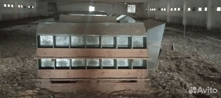 Клетка для курицы