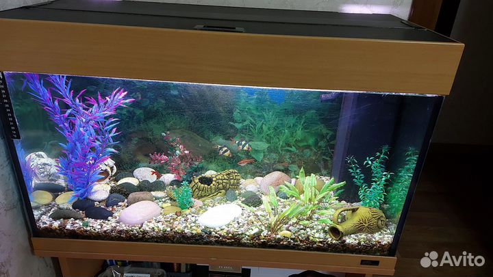 Аквариум juwel Rio 125 л с тумбой