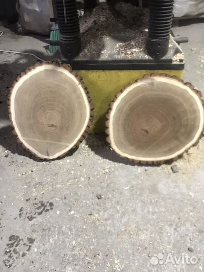 Спилы дуба для дэкора