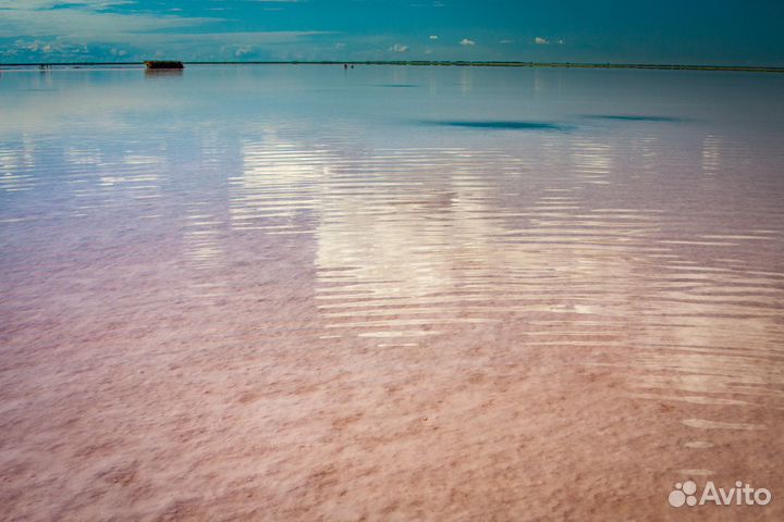 Соль рапа. Лечит суставы кожу целлюлит стресс сон