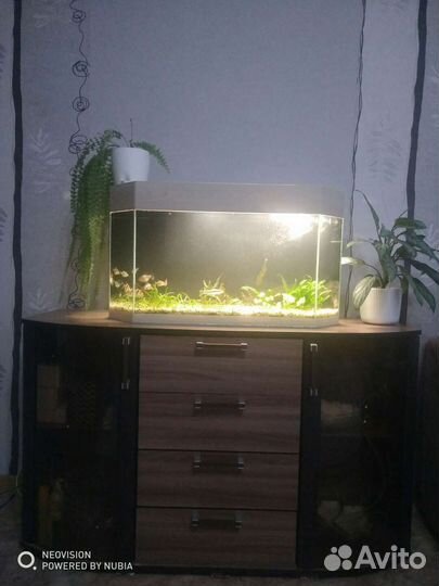 Аквариум