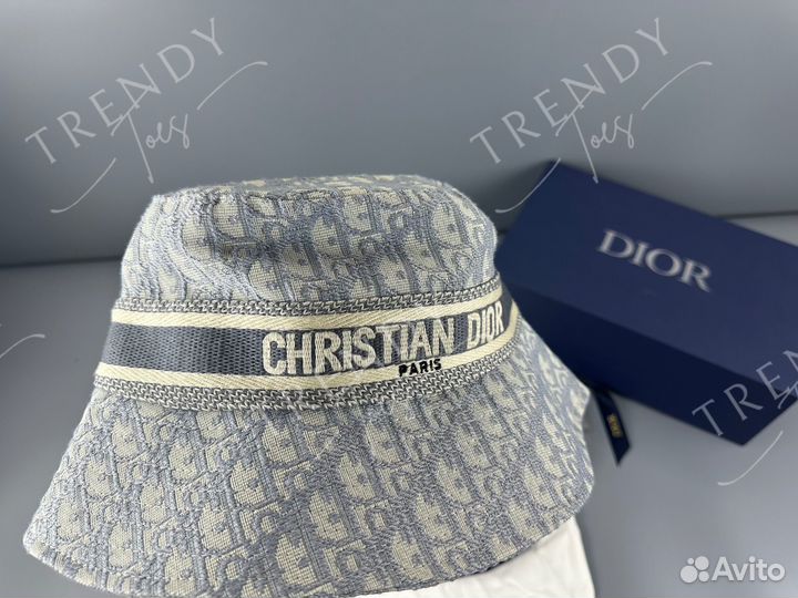 Панама Christian Dior