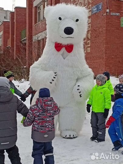 Белый мишка поздравление