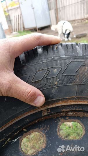 Cordiant Polar 195/55 R15