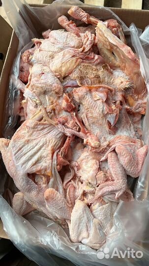 Корма для животных