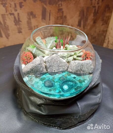 Флорариум шар