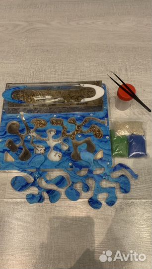 Муравьиная ферма с муравьями