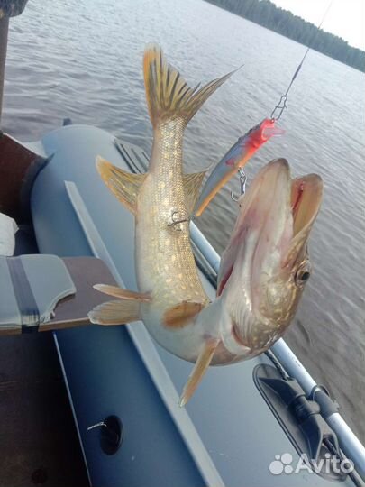 Комплект лодка с мотором