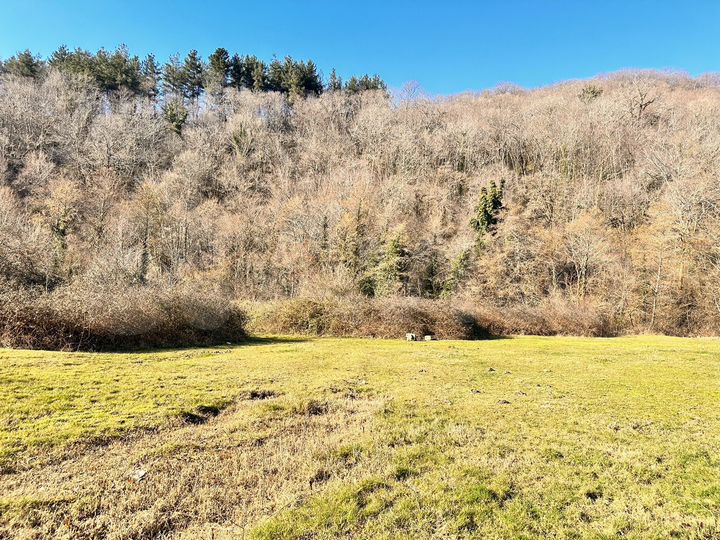 Участок 50 сот. (ИЖС)