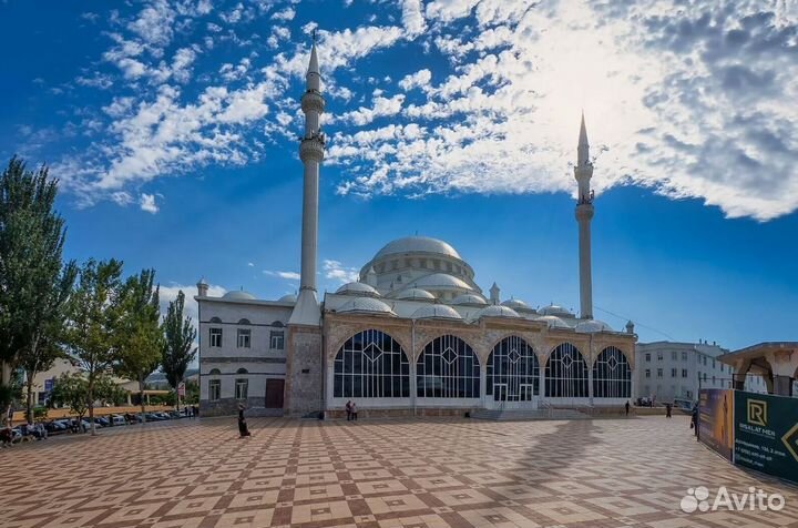 Путевка в Махачкалу, Петровскъ 5 нч