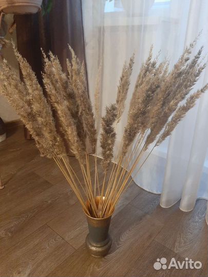 Декор,сухоцветы с вазами