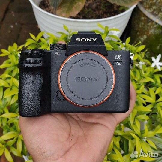 Фотоаппарат sony a7iii