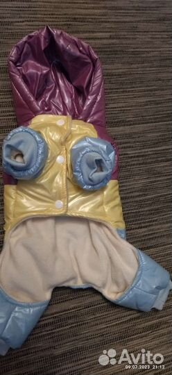 Одежда для маленьких собак