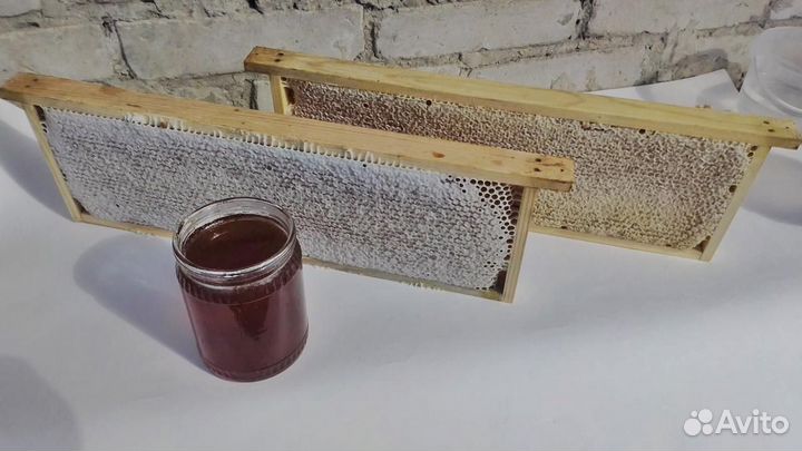 Продаю мед в сотах