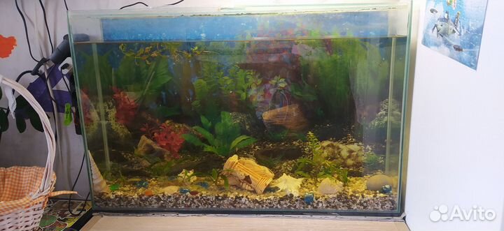 Аквариум