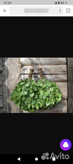 Березовые веники