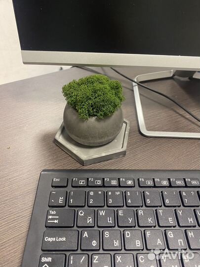 Флорариум, кашпо с мхом и подставкой