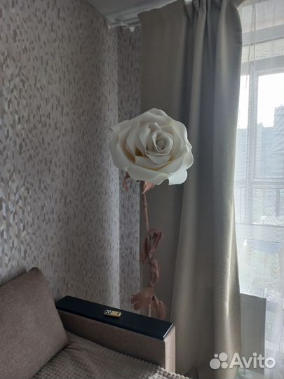 Роза-Лампа-цветок