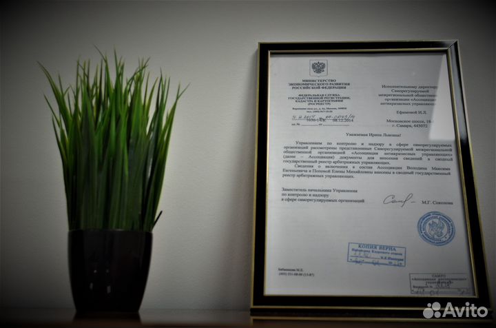 Банкротство физических лиц, финансовый управляющий