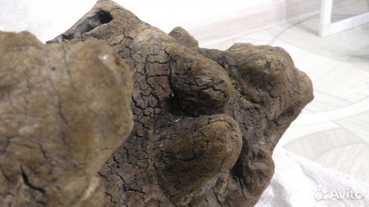 Коряги для террариума