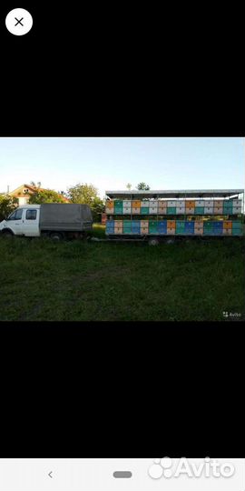 Прицеп пчеловоз, 2018