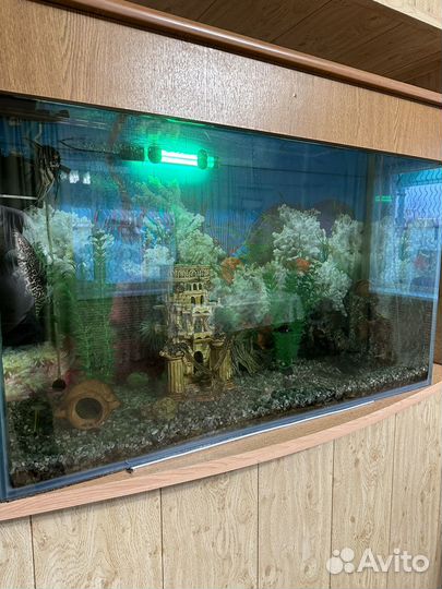 Аквариум