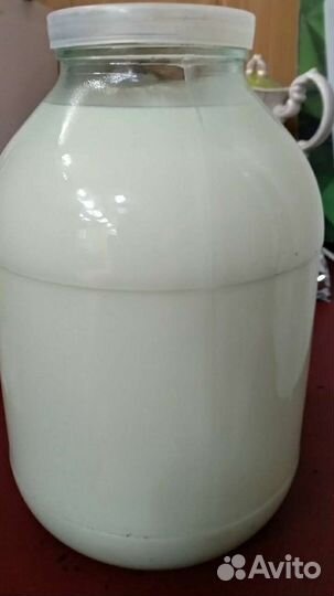 Продам козье молоко