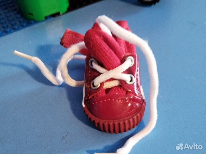 Ботинки для собак