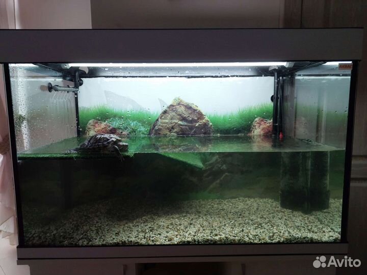 Обслуживание аквариумов