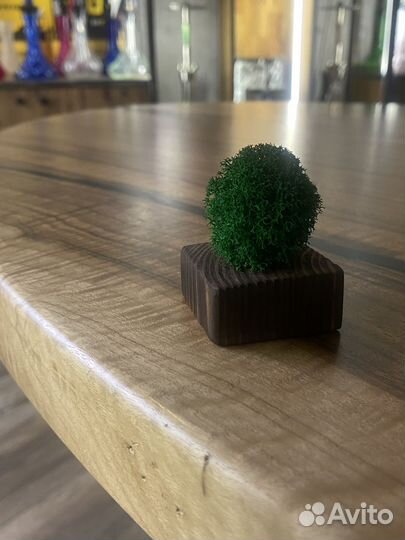 Декор (кашпо со мхом)