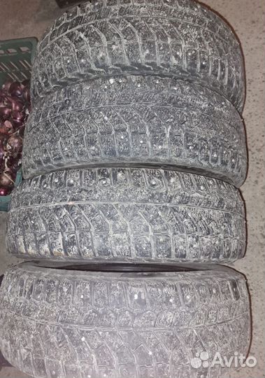 Viatti Brina Nordico V-522 175/65 R14