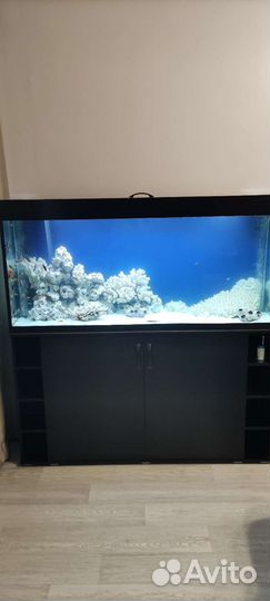 Аквариум на 500 литров