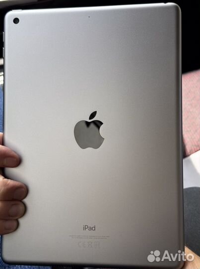 iPad