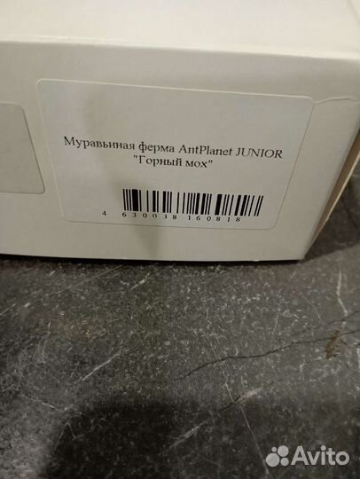 Ферма муравьиная