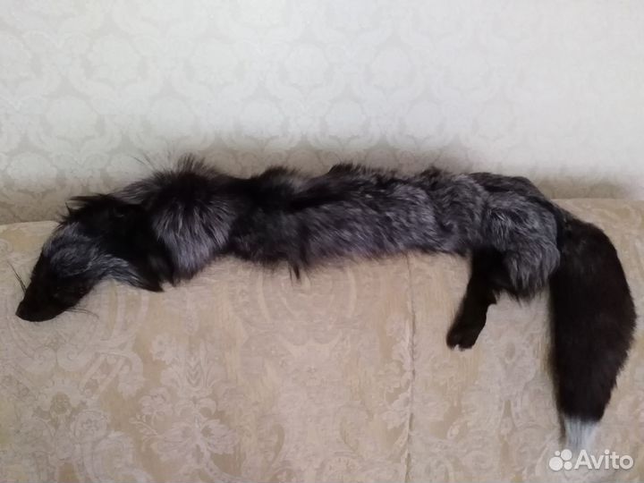 Мех чернобурки чулок