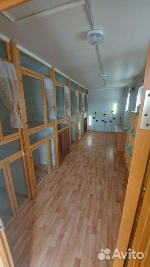 Передержка, зоогостиница