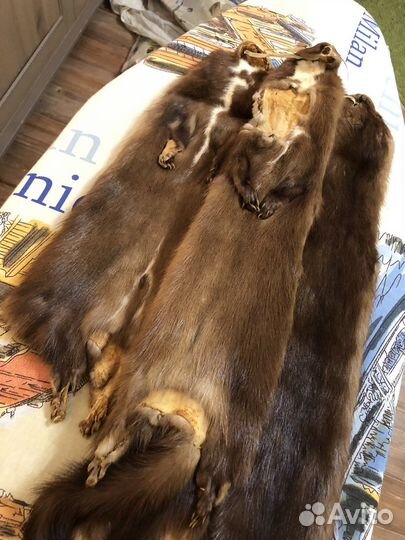 Шкурки норки
