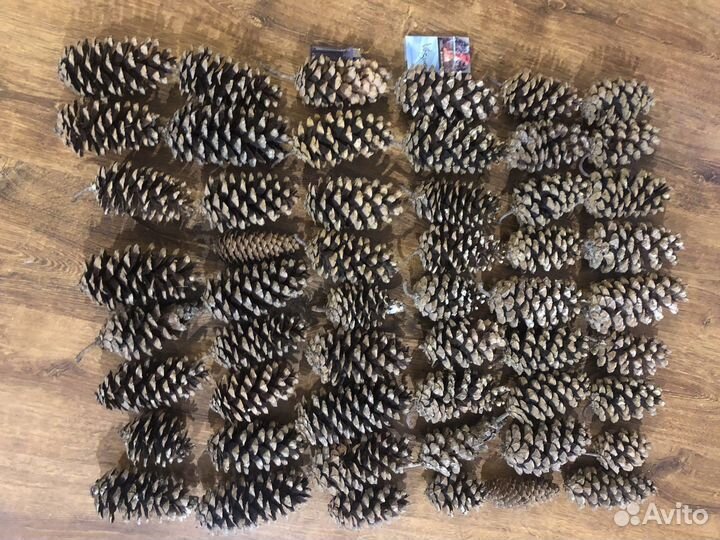 Шишки огромные