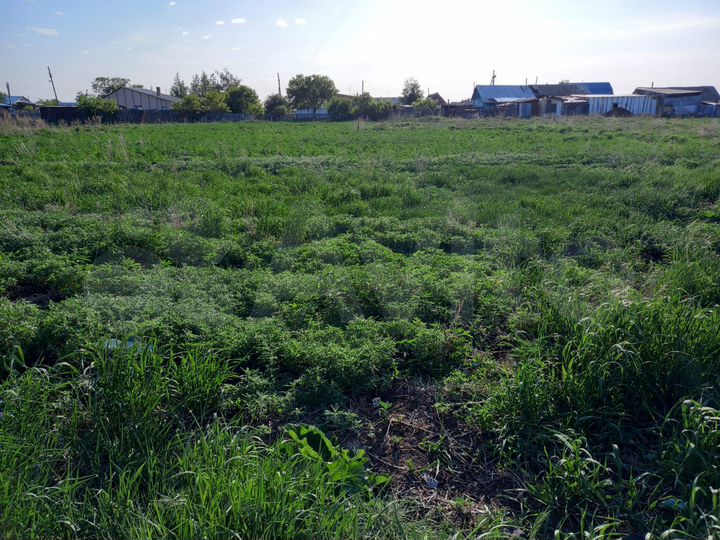 Дом 50 м² на участке 20 сот.