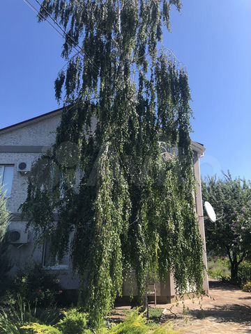 Дом 190 м² на участке 8 сот.